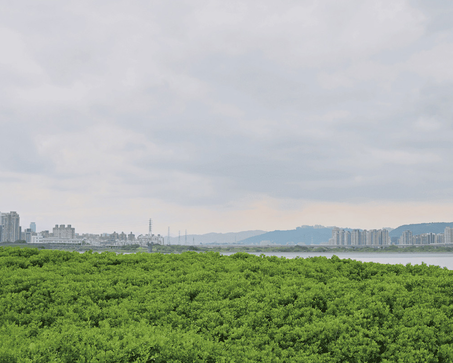 村泉蒔美週邊 (3)